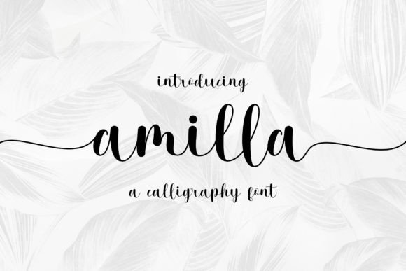 Amilla: A Handwritten Font for Modern Editorial Design