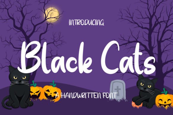 How the Black Cats Font Gave My Small Business a Fresh, Polished Look