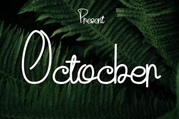 Octocber: A Modern Script Typeface for Elegant Handmade Branding