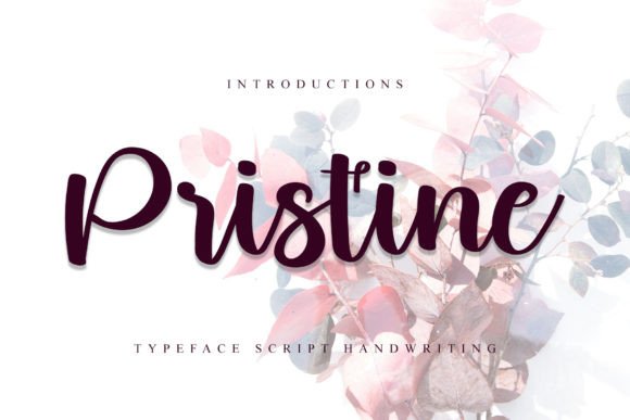 Pristine: A Modern Handwritten Font for Elegant Web Typography