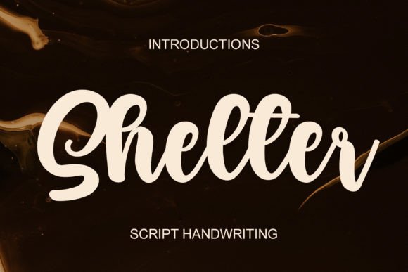 Shelter: A Unique Handwritten Script Font for Modern Web Design